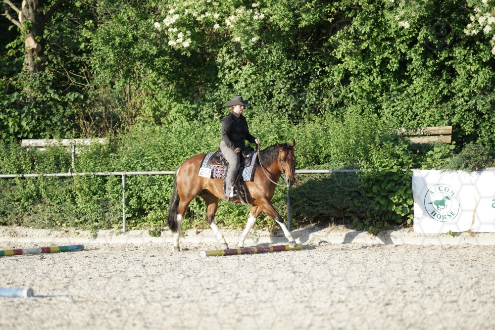 s_APF07283.jpg